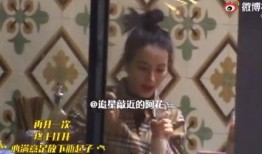 狗仔爆料奶狗视频大全,奶狗视频大全精彩瞬间大放送