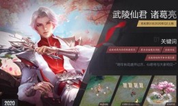 大咖爆料武陵仙君视频,神秘仙君背后的故事与技能解析